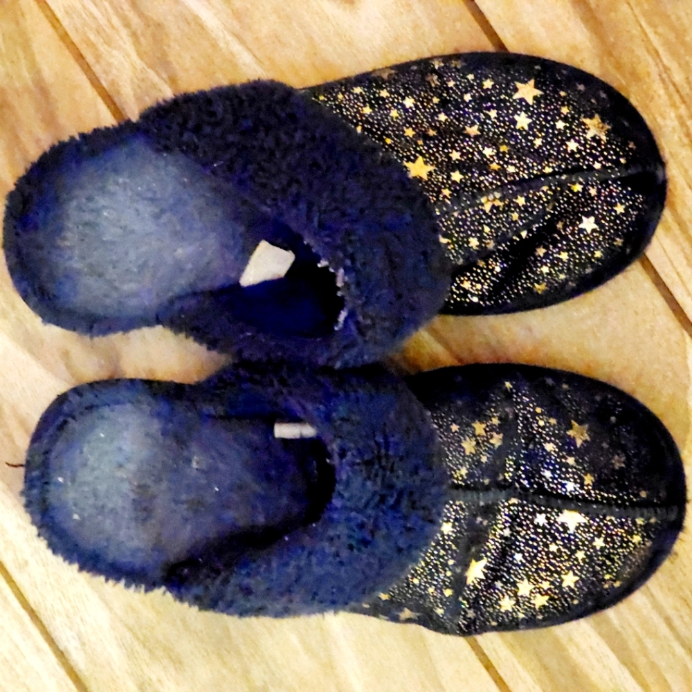 Well Worn Navy Blue Stat Slippers